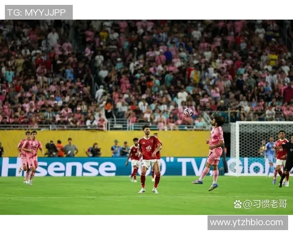 海信足球明星阵容全解析及其在赛场上的精彩表现回顾