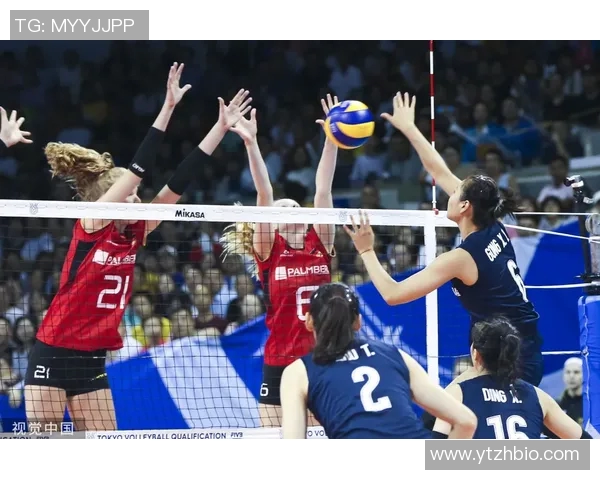 杭州排球队中路突破革新探索新战术提升整体实力与竞技水平